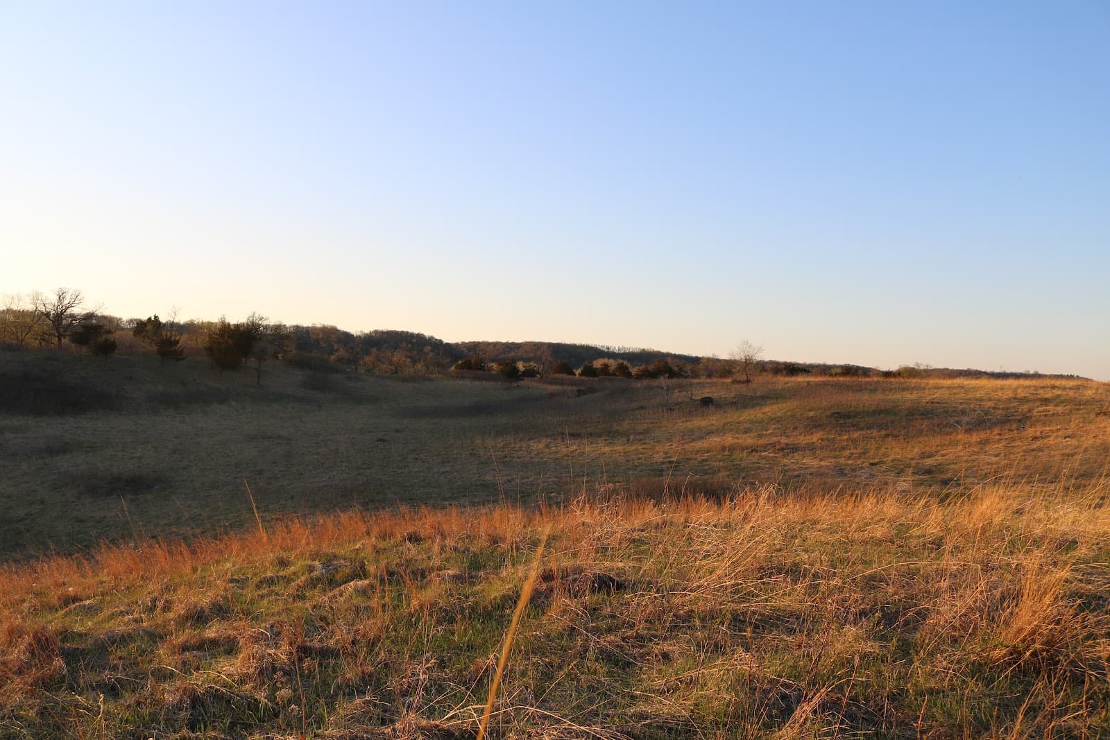 Kasota Prairie SNA - Image 1