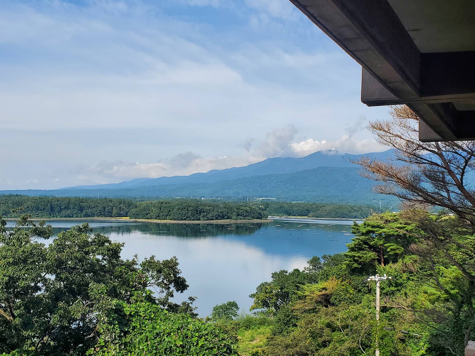 Brackish Water Beauty