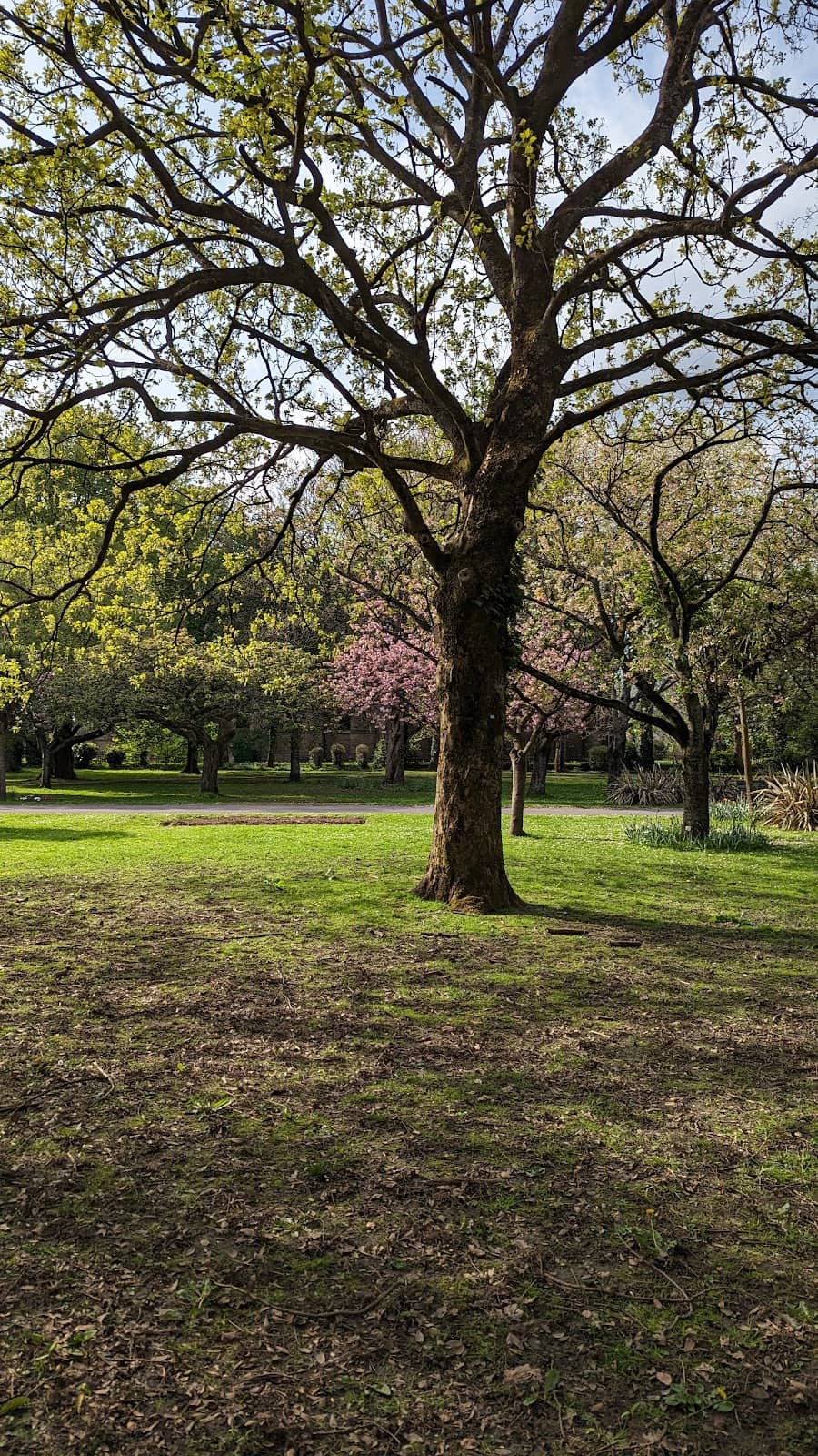 Playground & Picnic Area