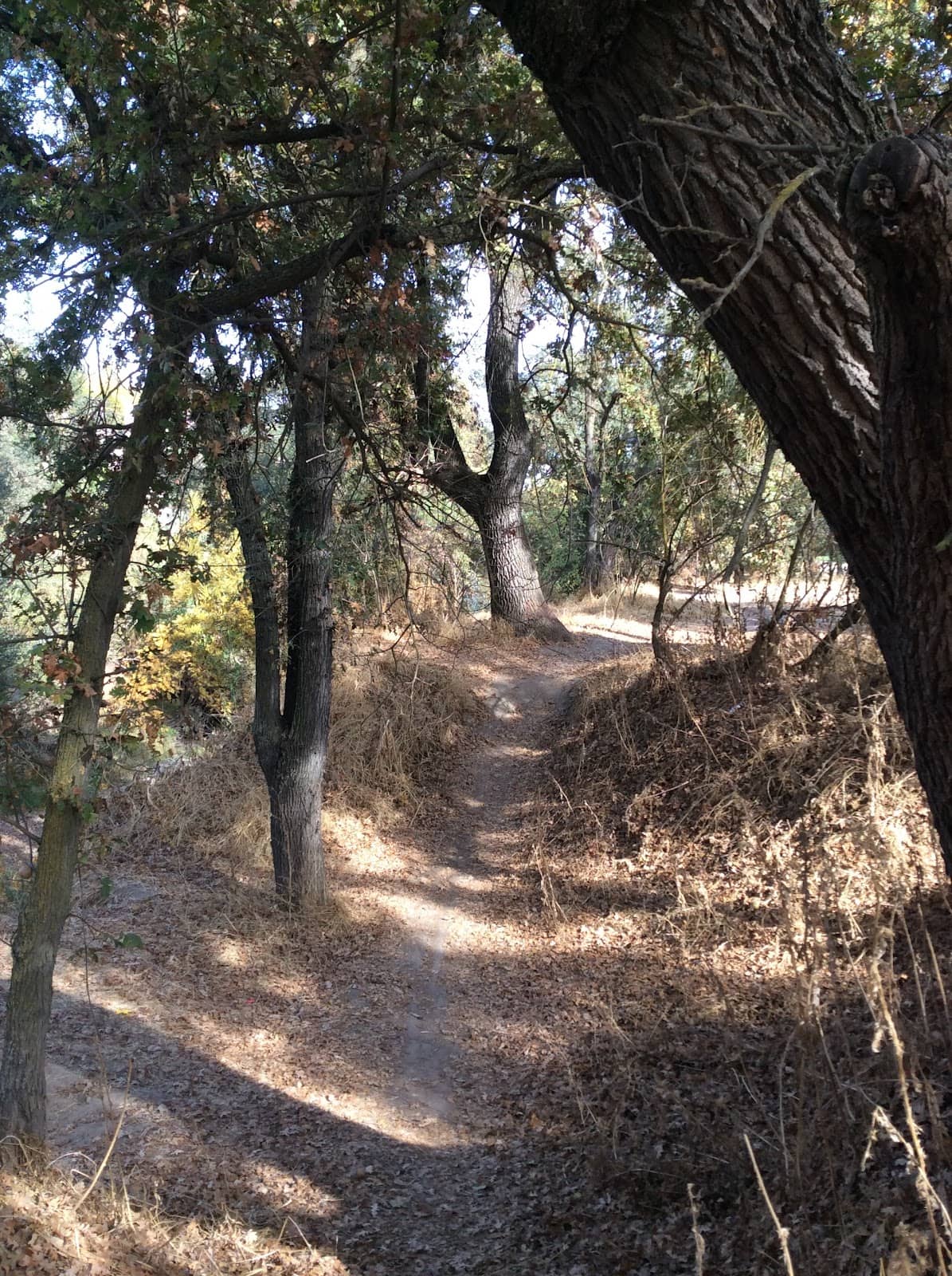 Vertical photo