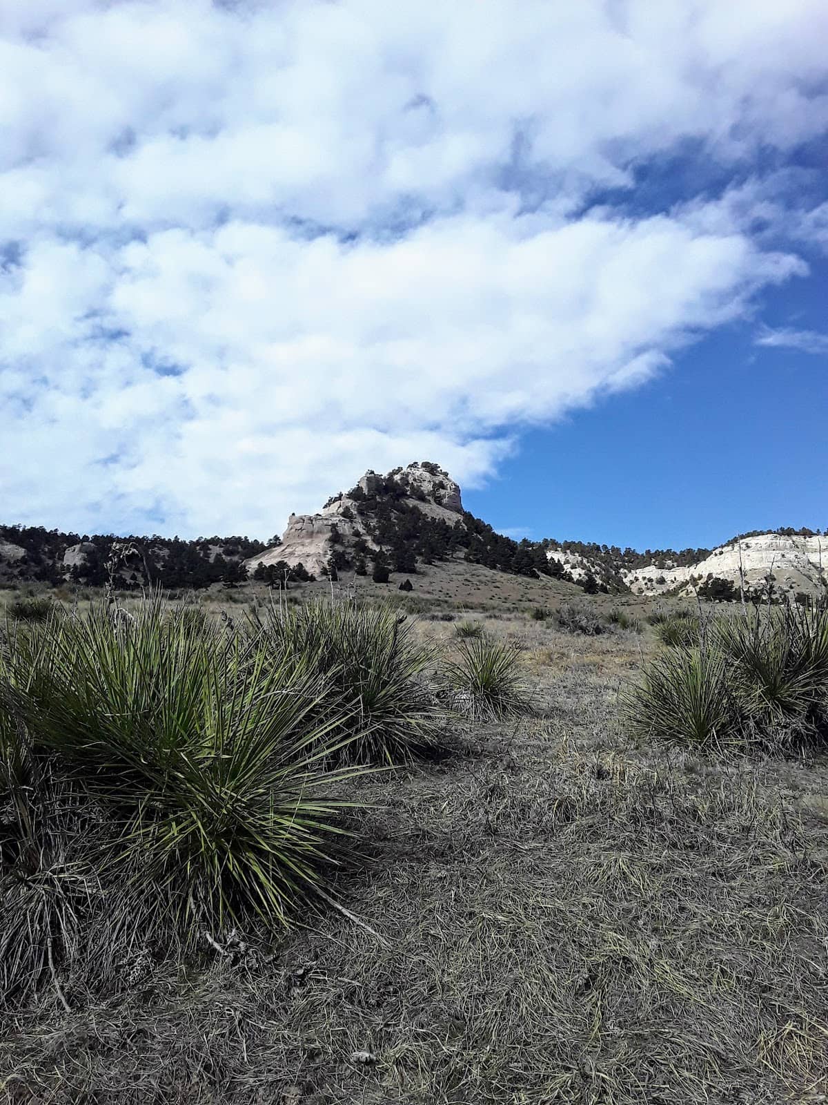 Diverse Flora & Fauna