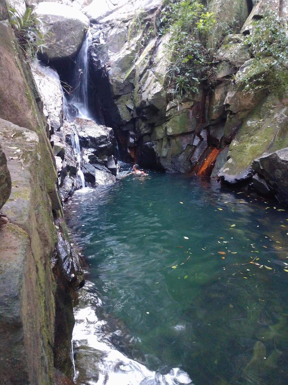 Pântano do Sul - Image 1