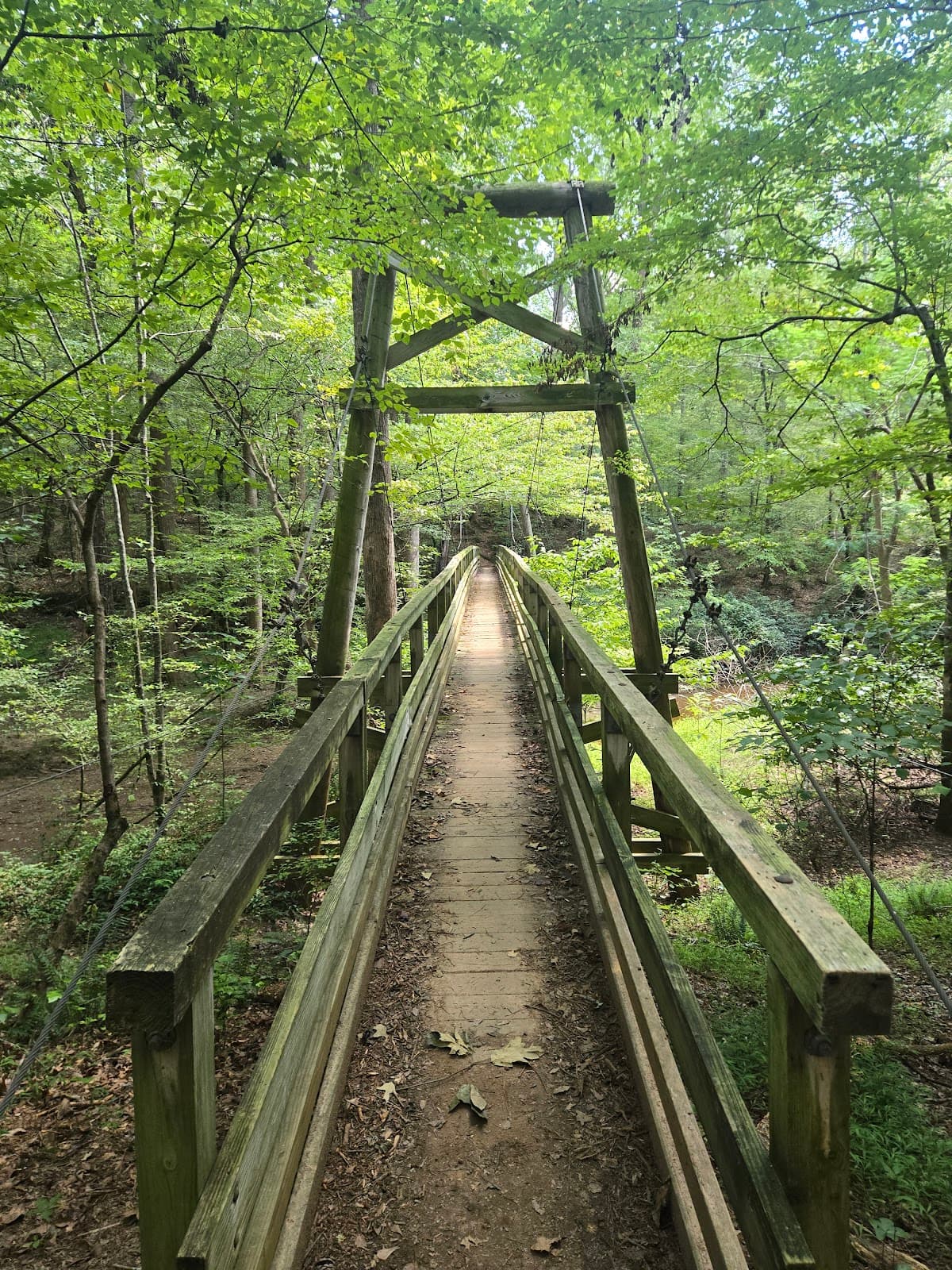 Chicopee Woods Nature Preserve - Image 1