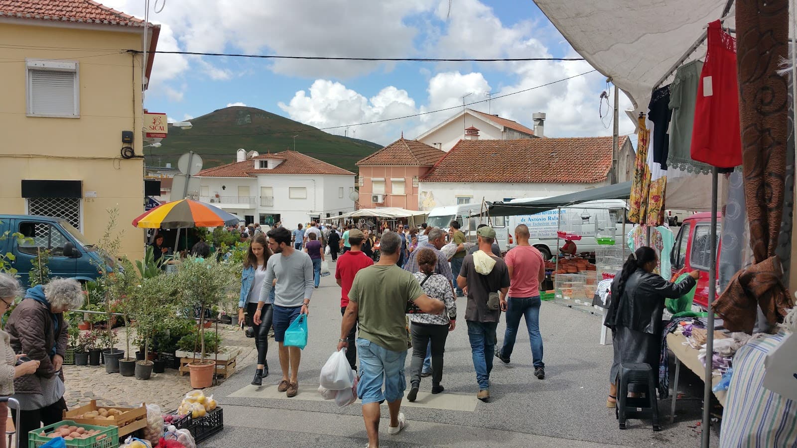 Malveira Market - Image 1