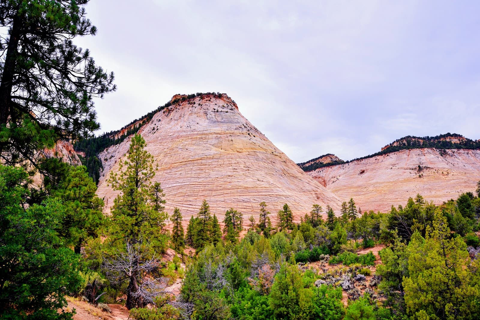 Checkerboard Mesa - Image 1