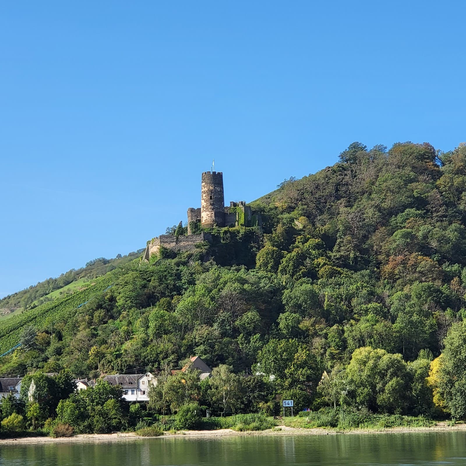 Burg Fürstenberg (Fürstenberg Castle Ruin, Rheindiebach) - Image 1