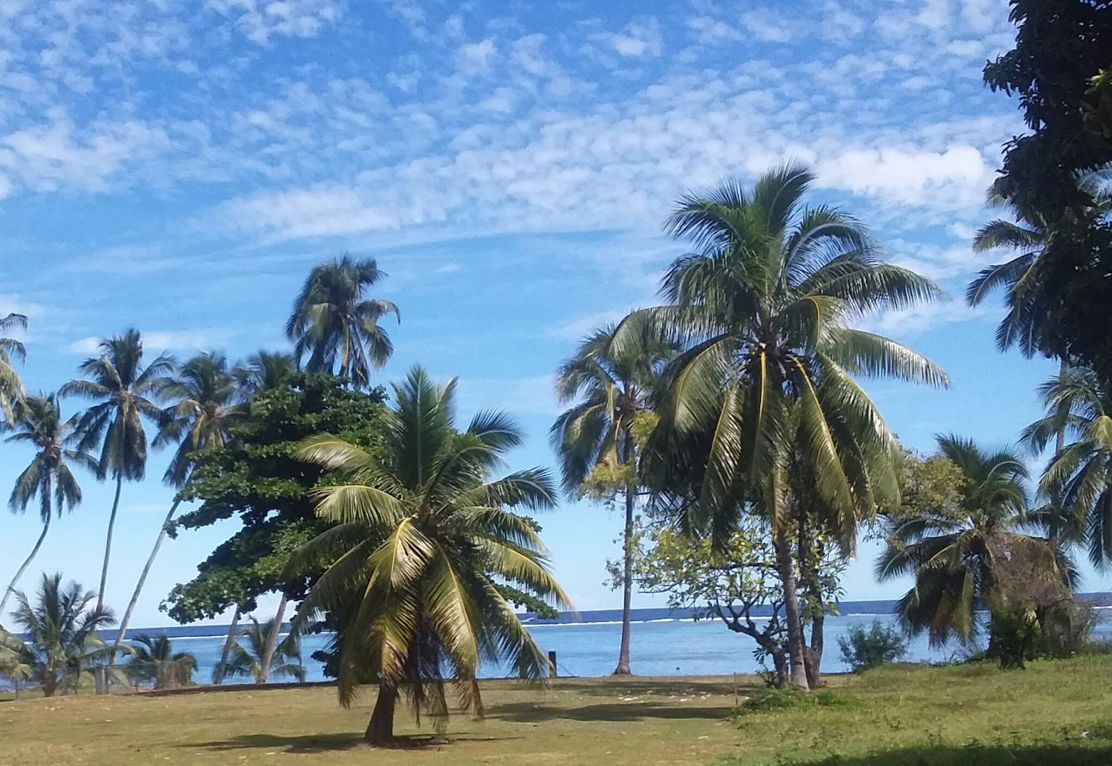 Papara - Image 1