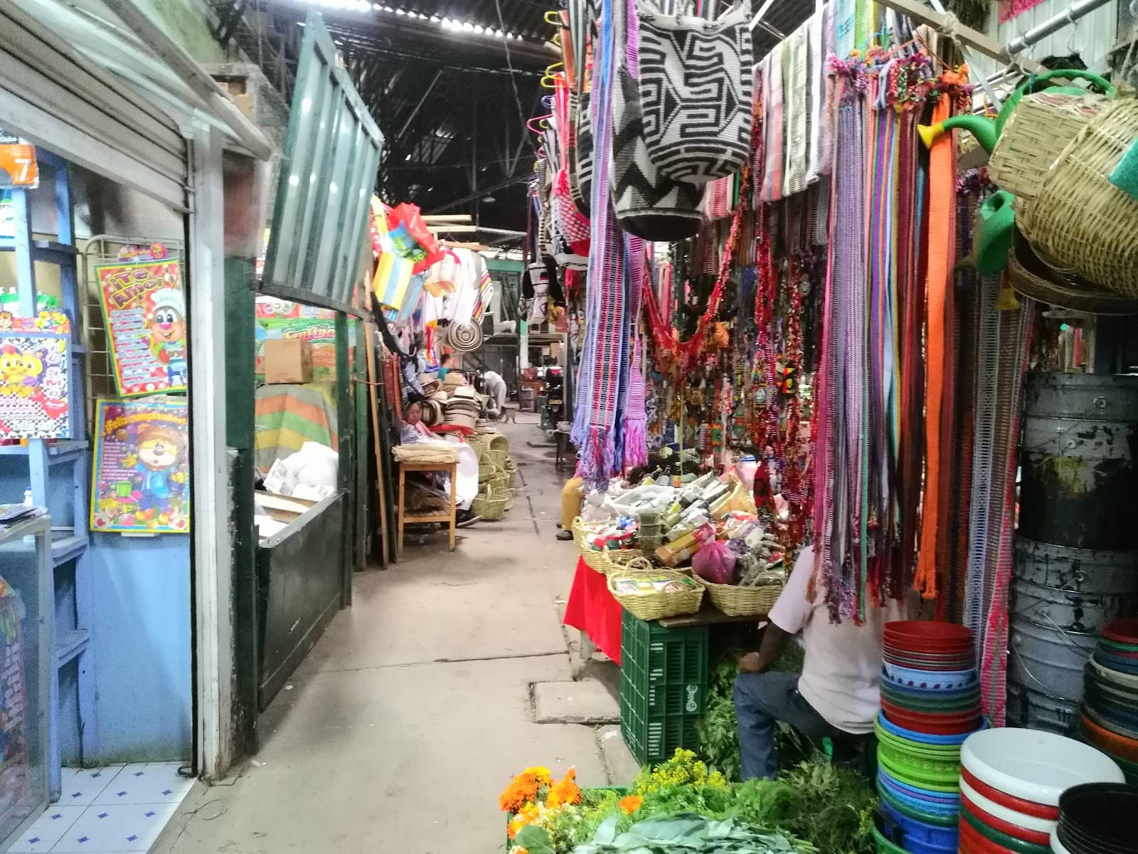 Local Culture Immersion