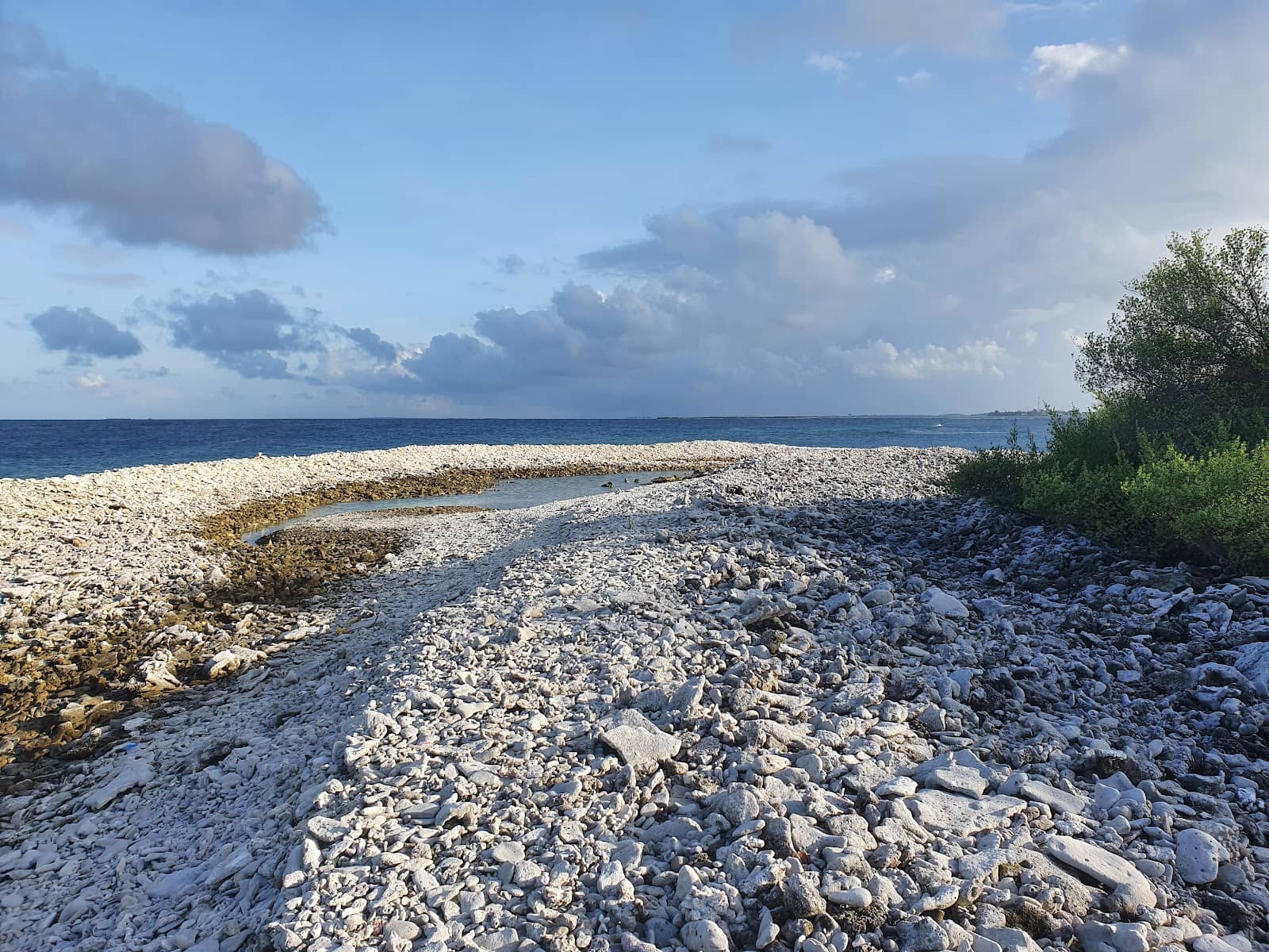 Exceptional Snorkeling