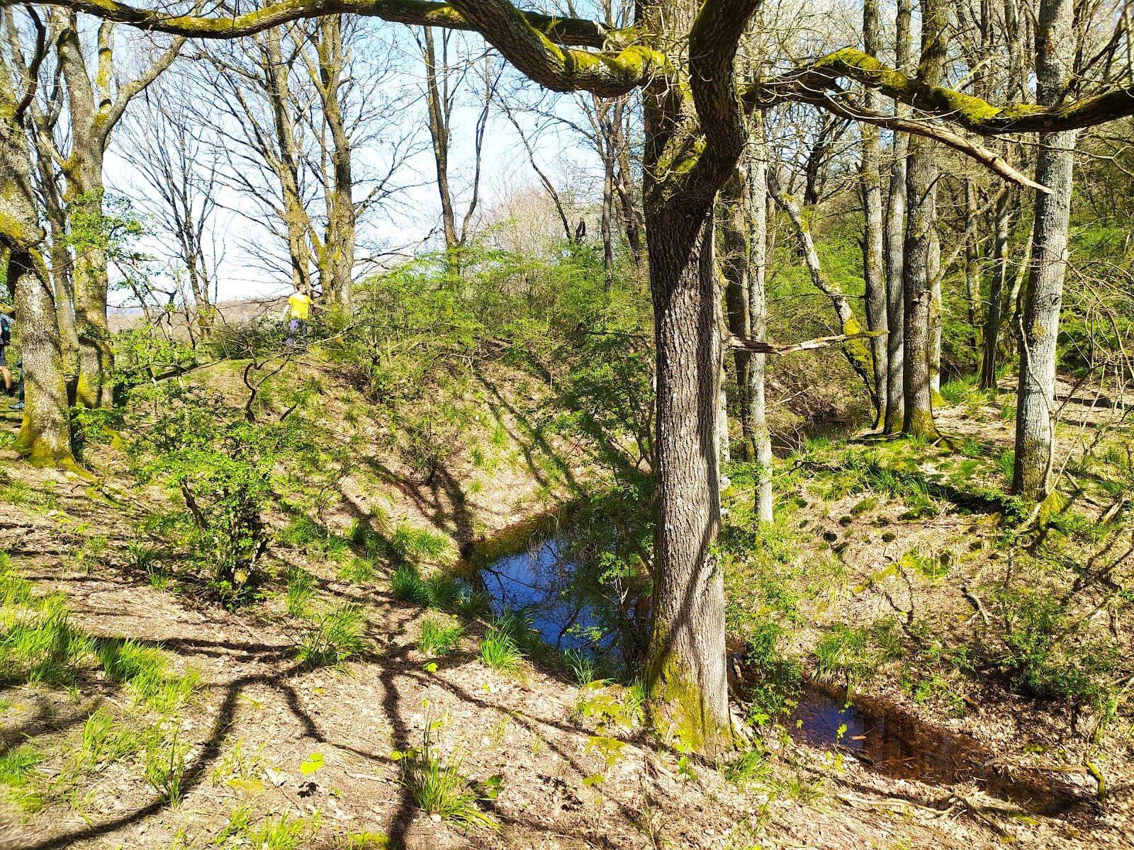 Graacher Schanzen (earthworks) - Image 1