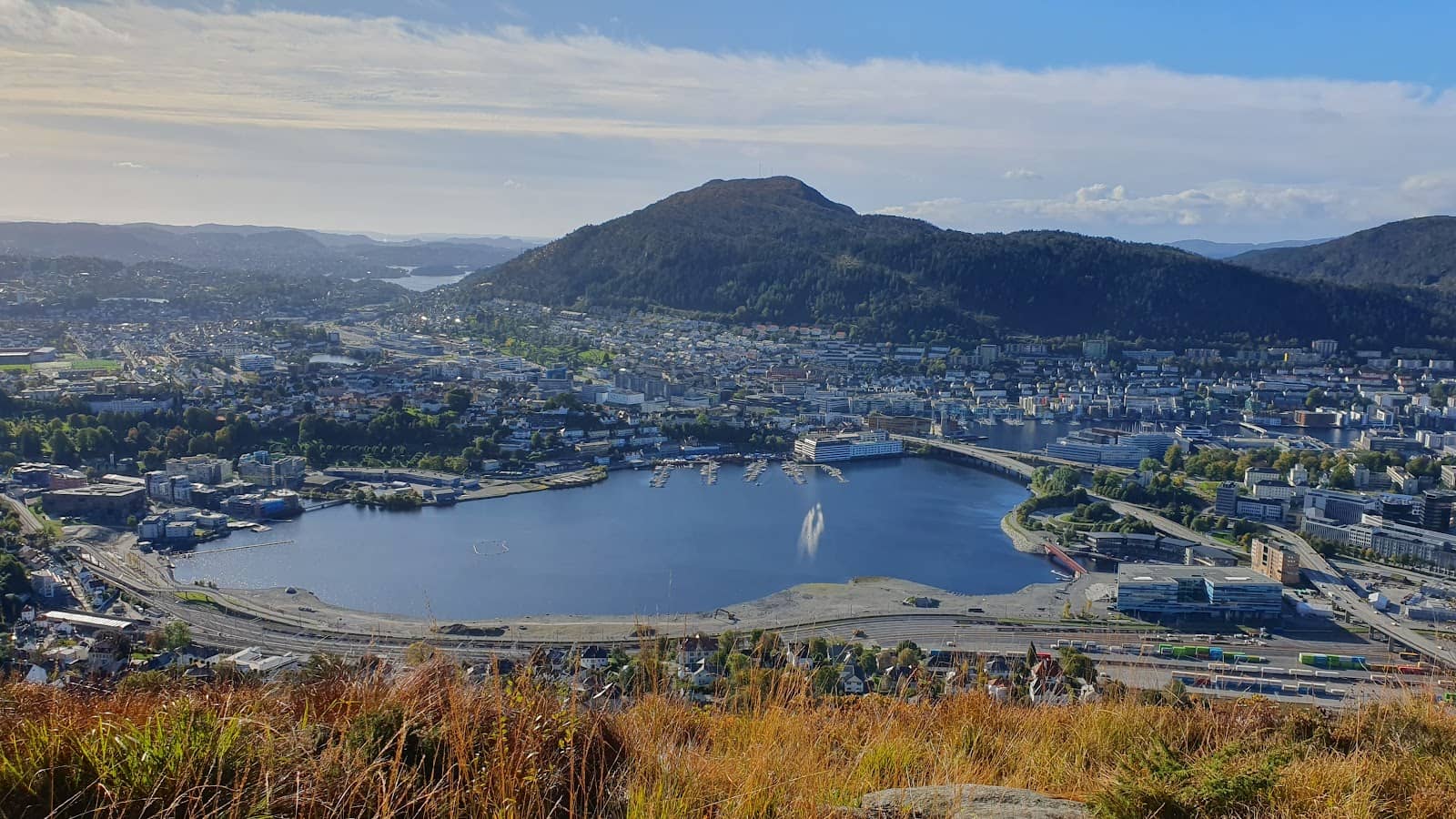 Red Bull Wake the City