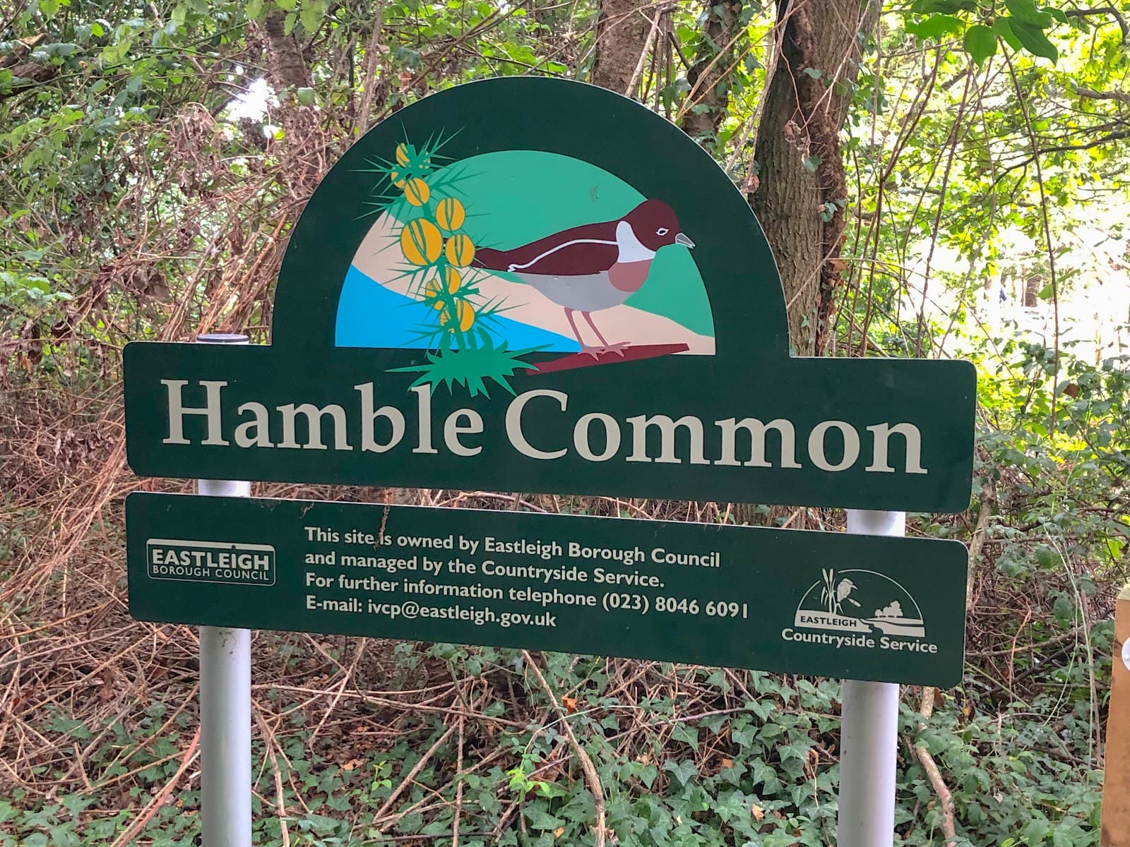 Hamble Common Hampshire - Image 1