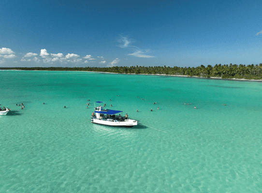 Crystal-Clear Waters