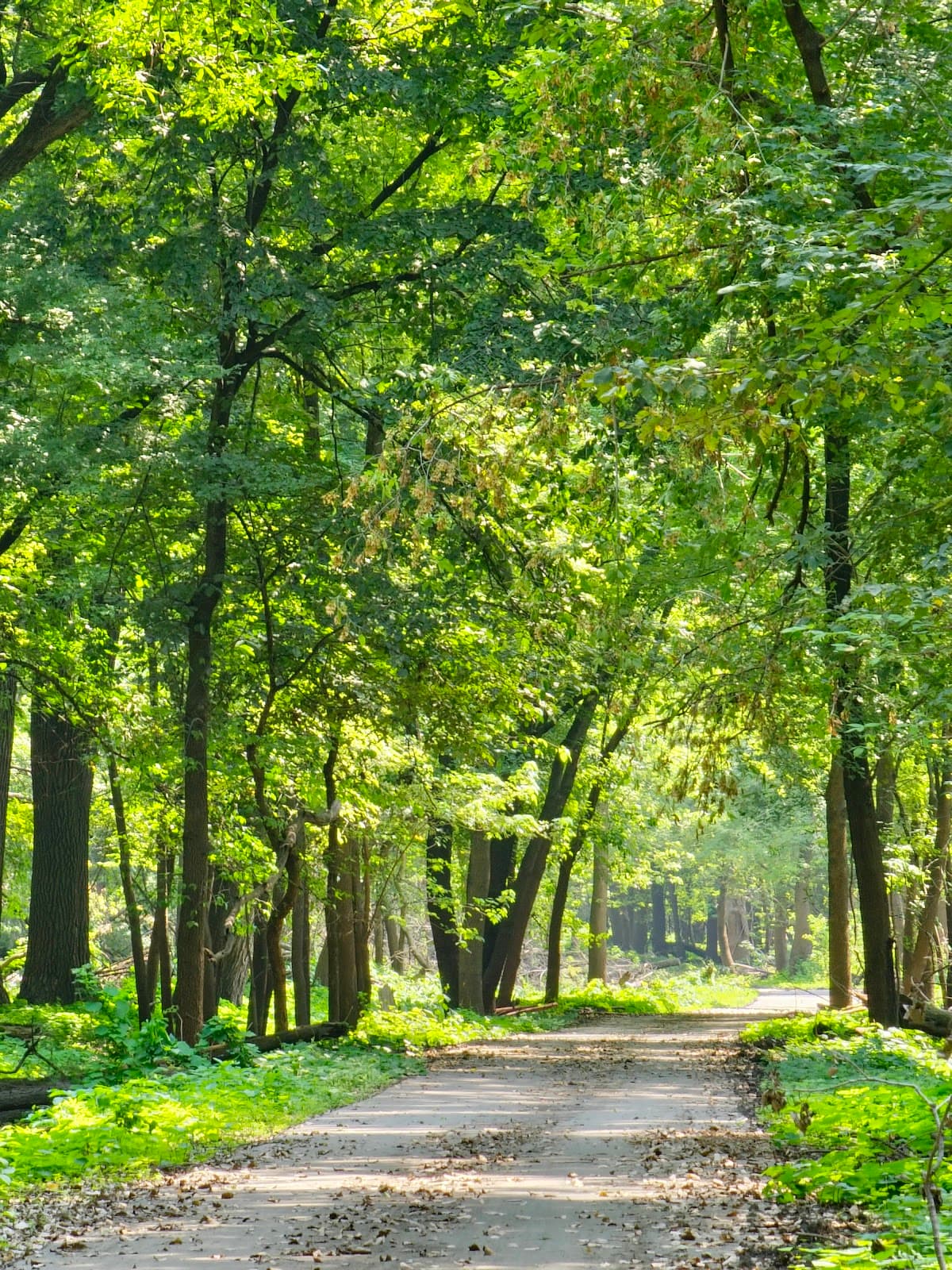 Minnesota Valley State Trail (Shakopee) - Image 1