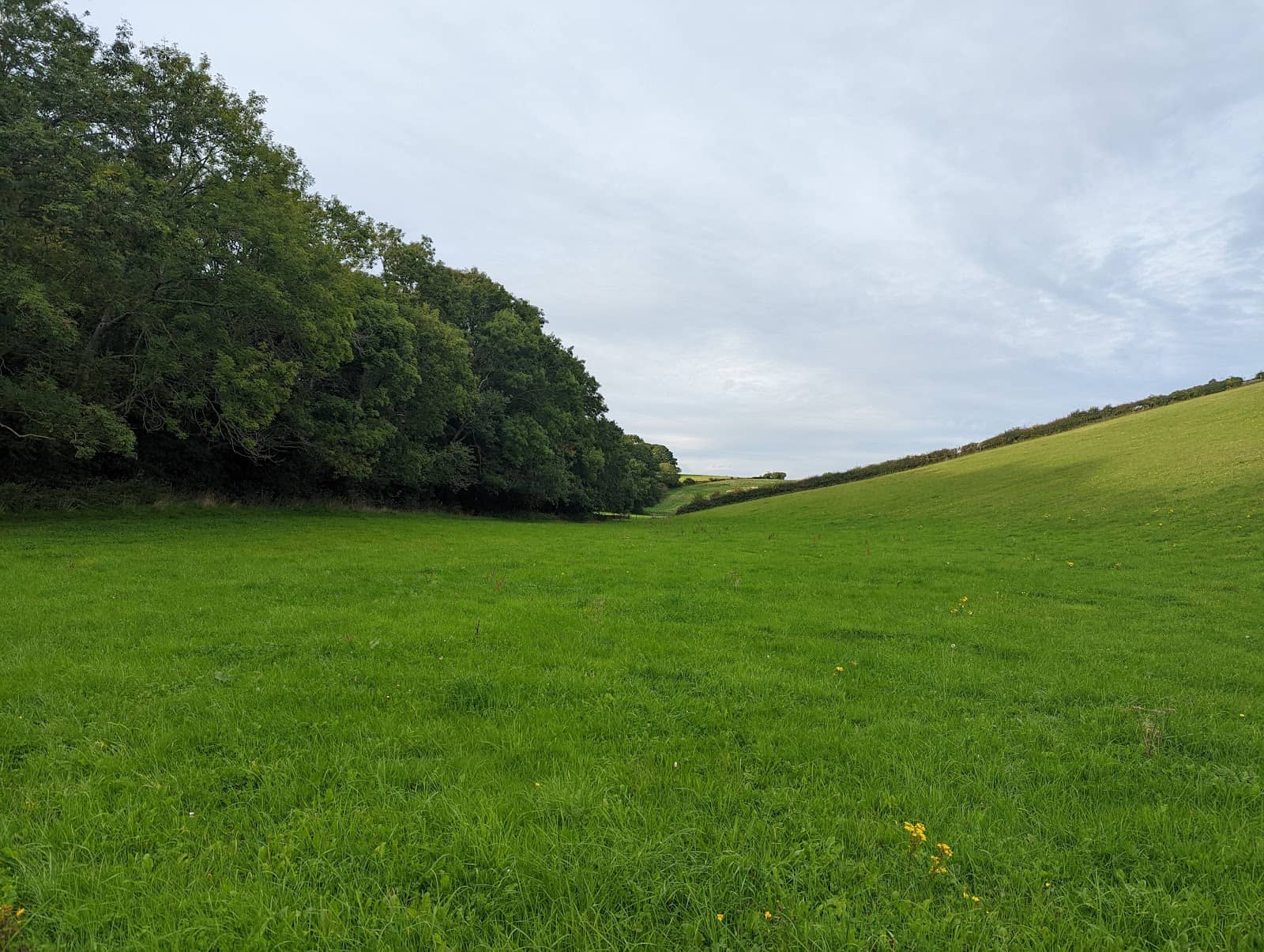 Gardens and Estate Grounds