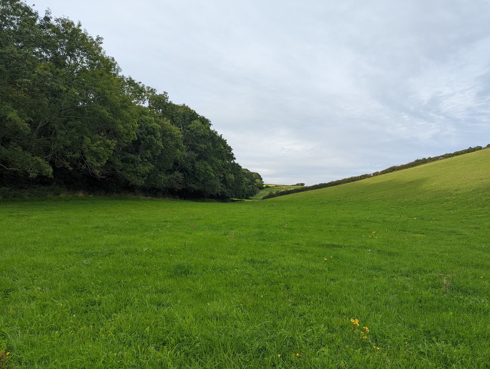 Stanmer Park Brighton - Image 1