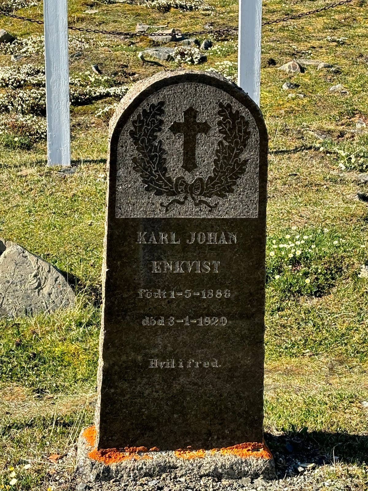 Vertical photo