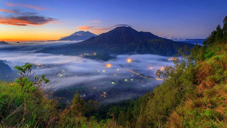 Pohon Cinta (Love Tree)