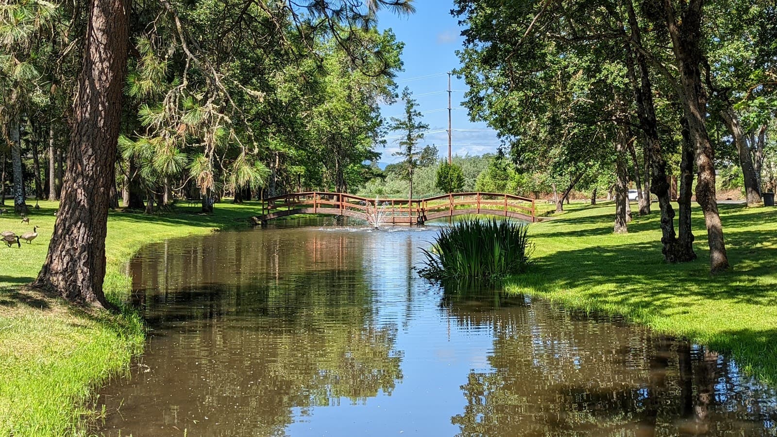 Tom Pearce Park - Image 1