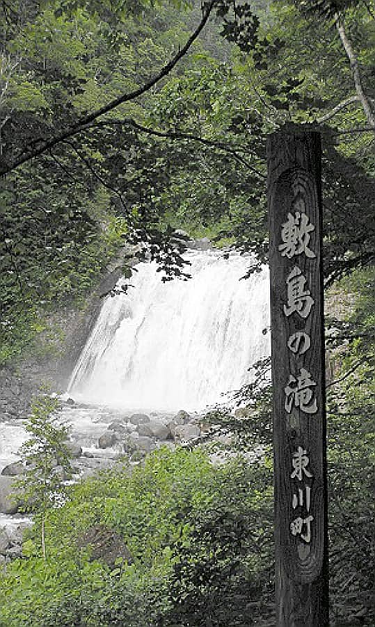 Vertical photo