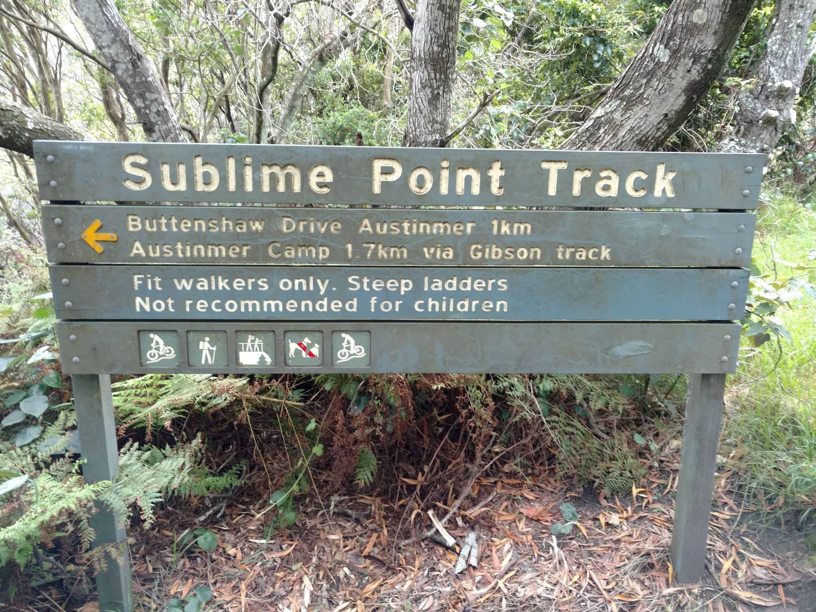 Wildlife Spotting Opportunities