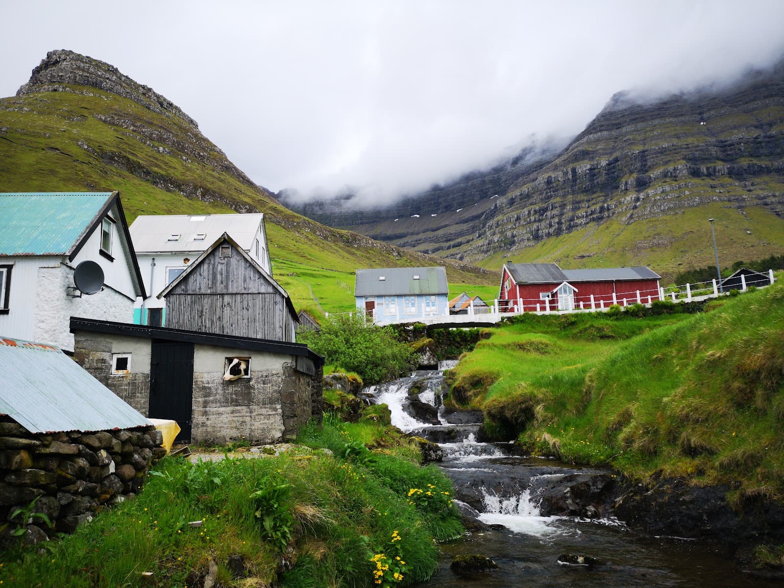 Kunoy village & tree grove - Image 1