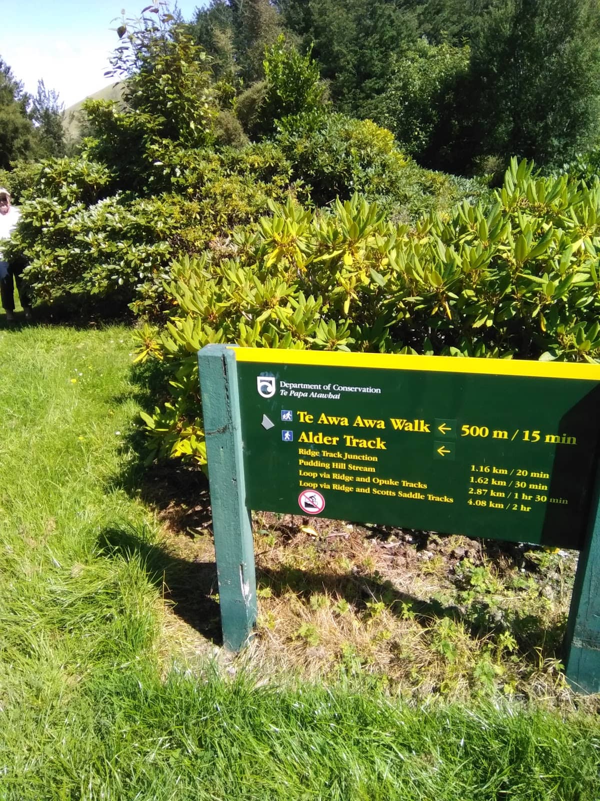 Rainforest Immersion