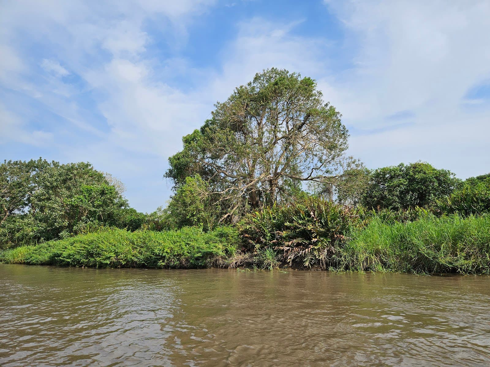 Rosario Islands Cartagena - Image 1