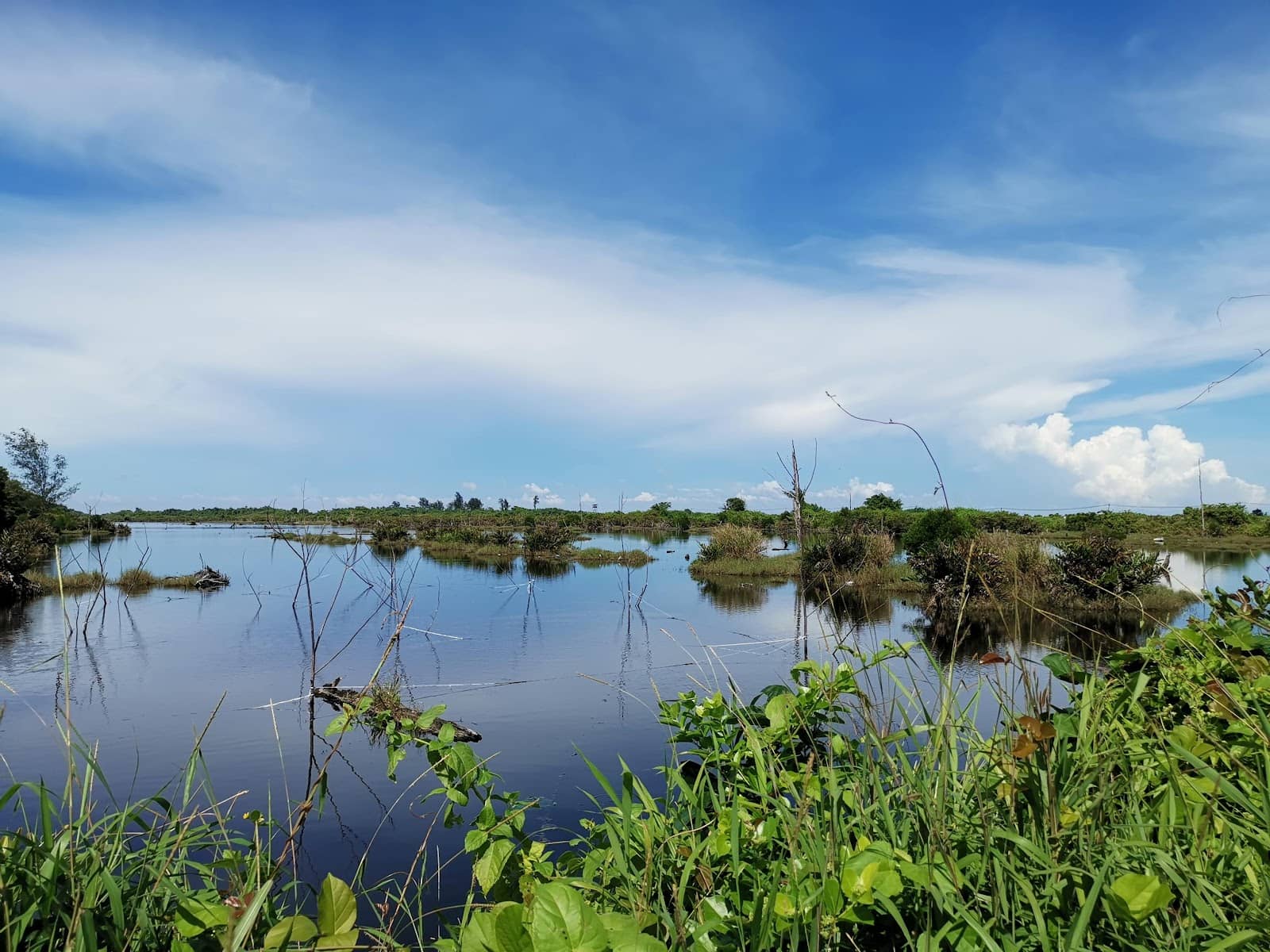 Dawn's Amazing Colors