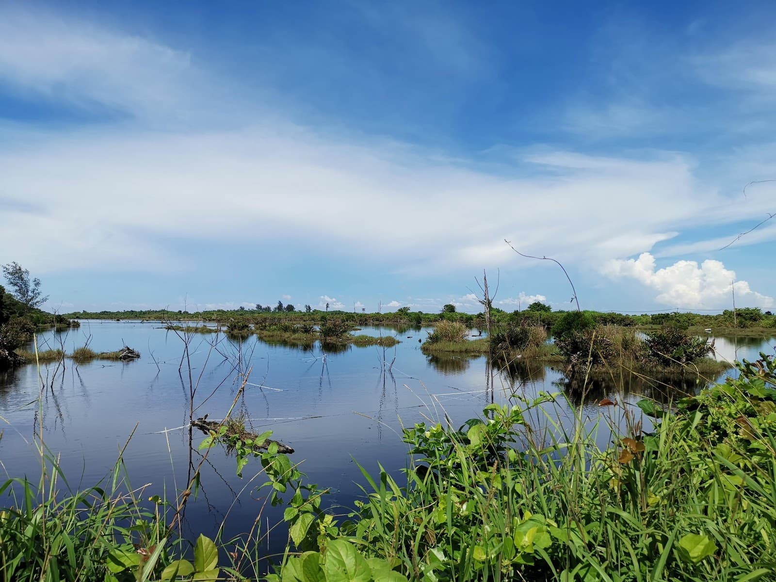 Kuala Baram Wetland - Image 1