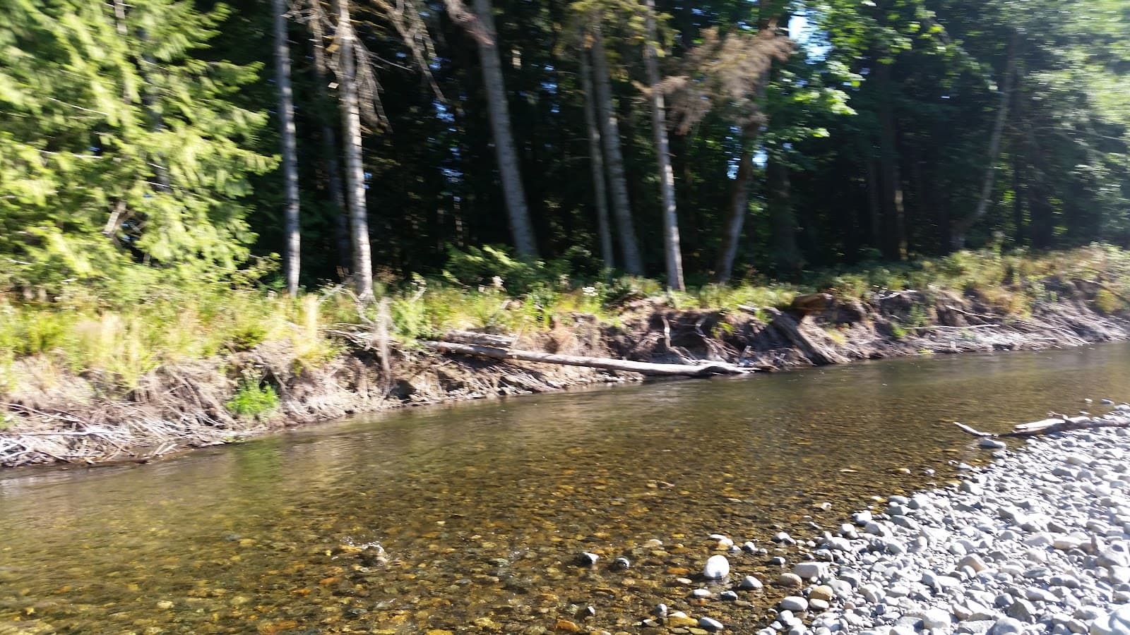Little Qualicum River Estuary - Image 1