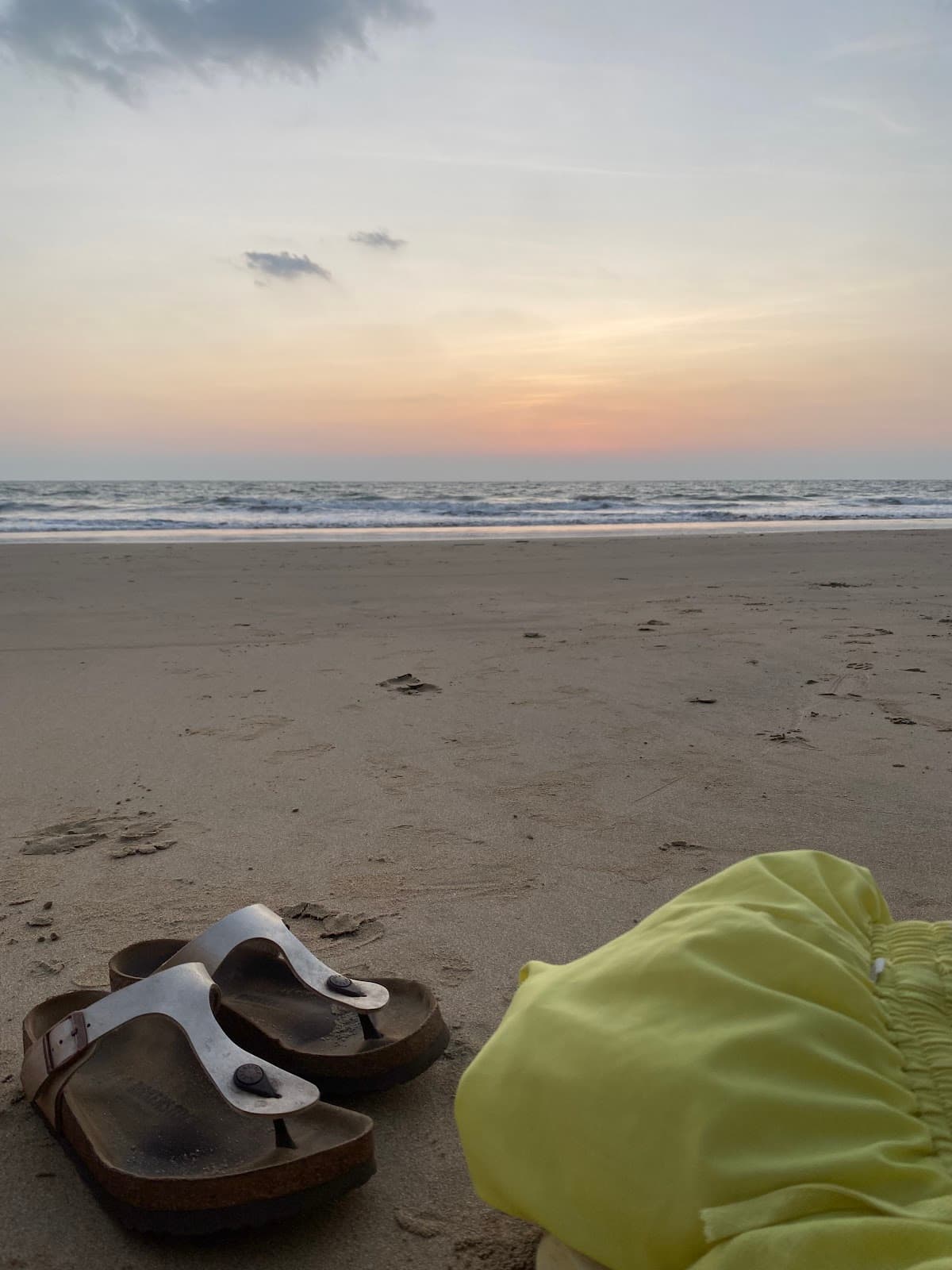 Galgibaga Turtle Nesting Zone - Image 1