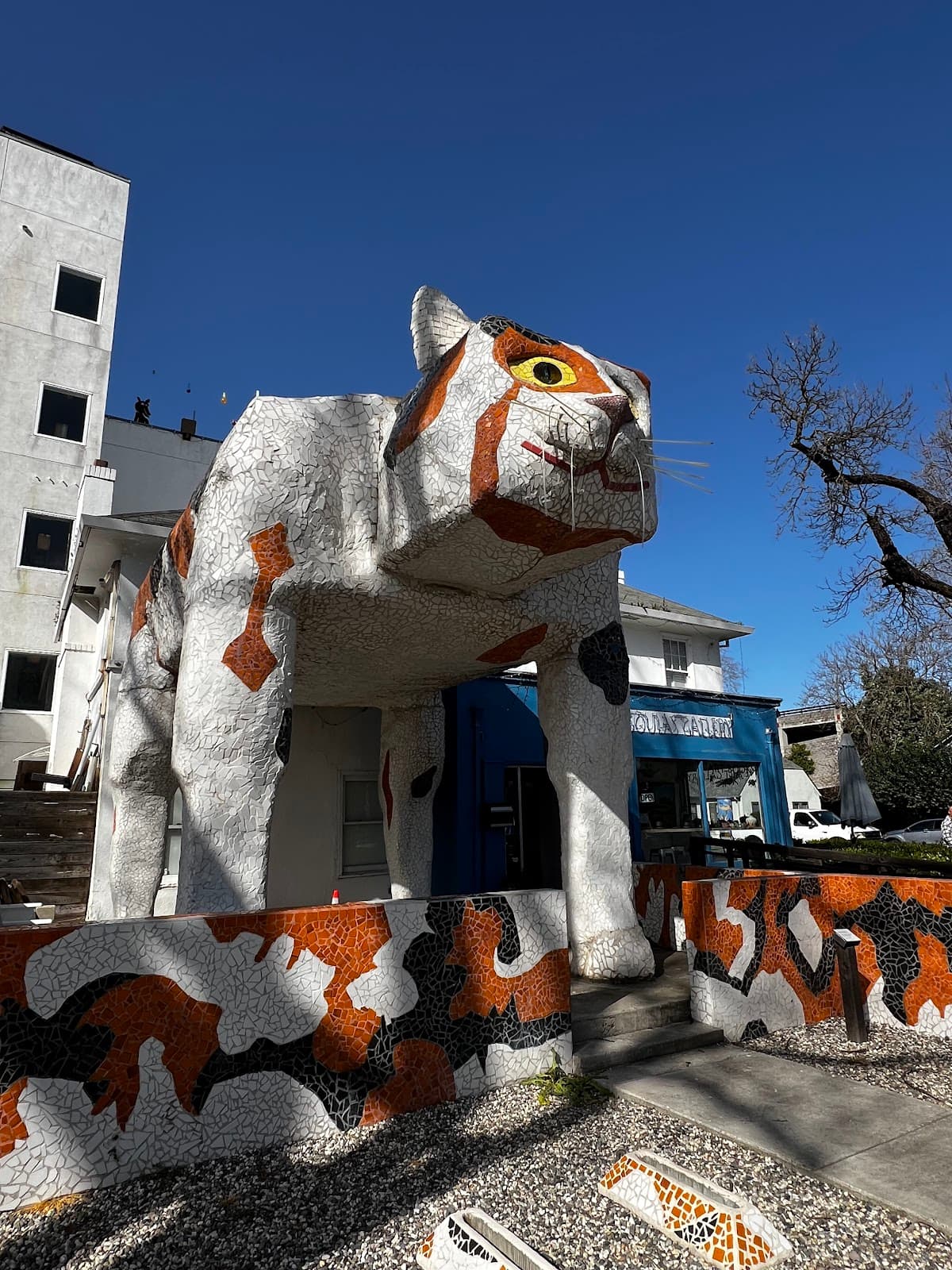 Downtown Davis - Image 1