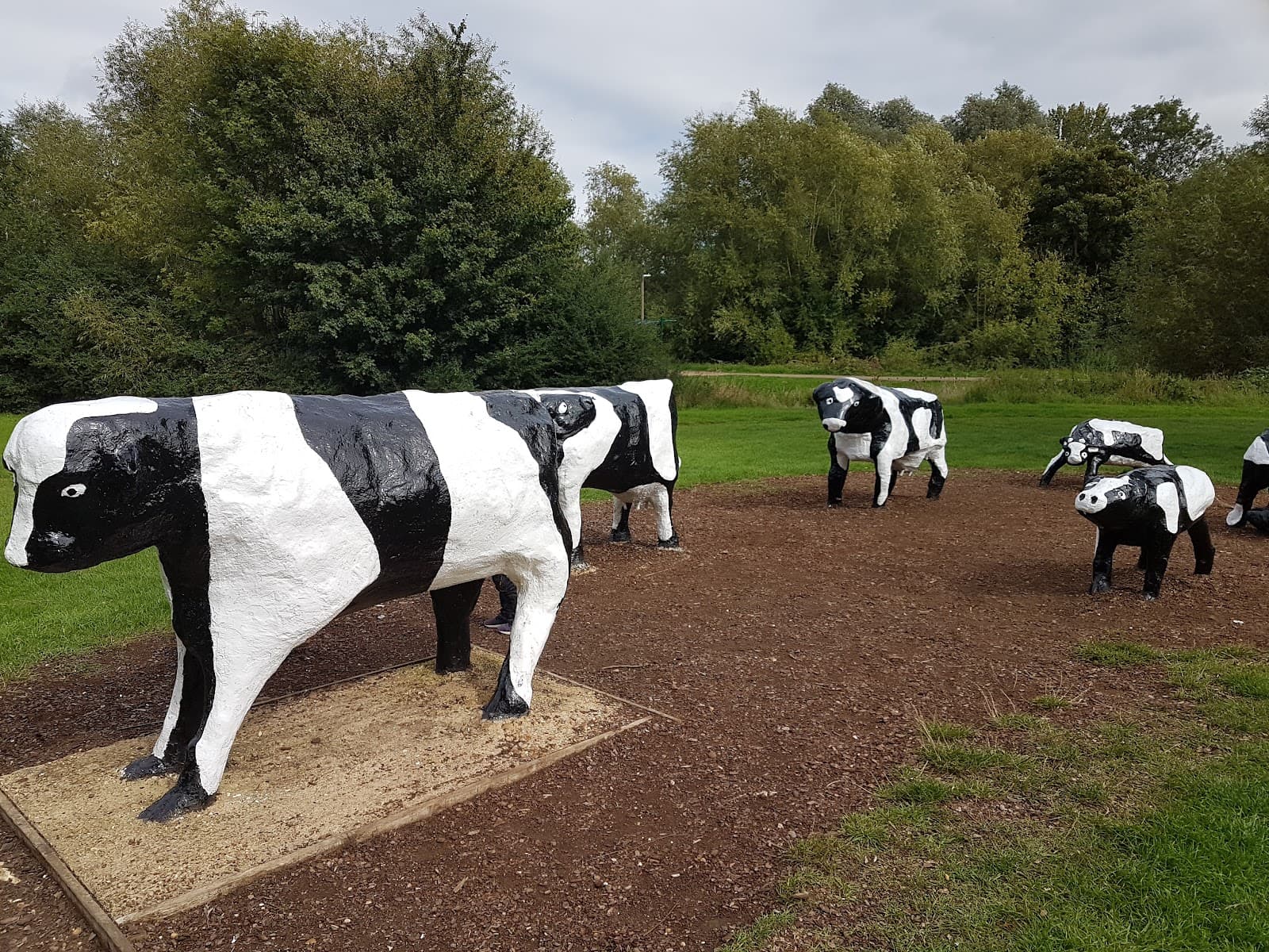 Concrete Cows Bancroft - Image 1
