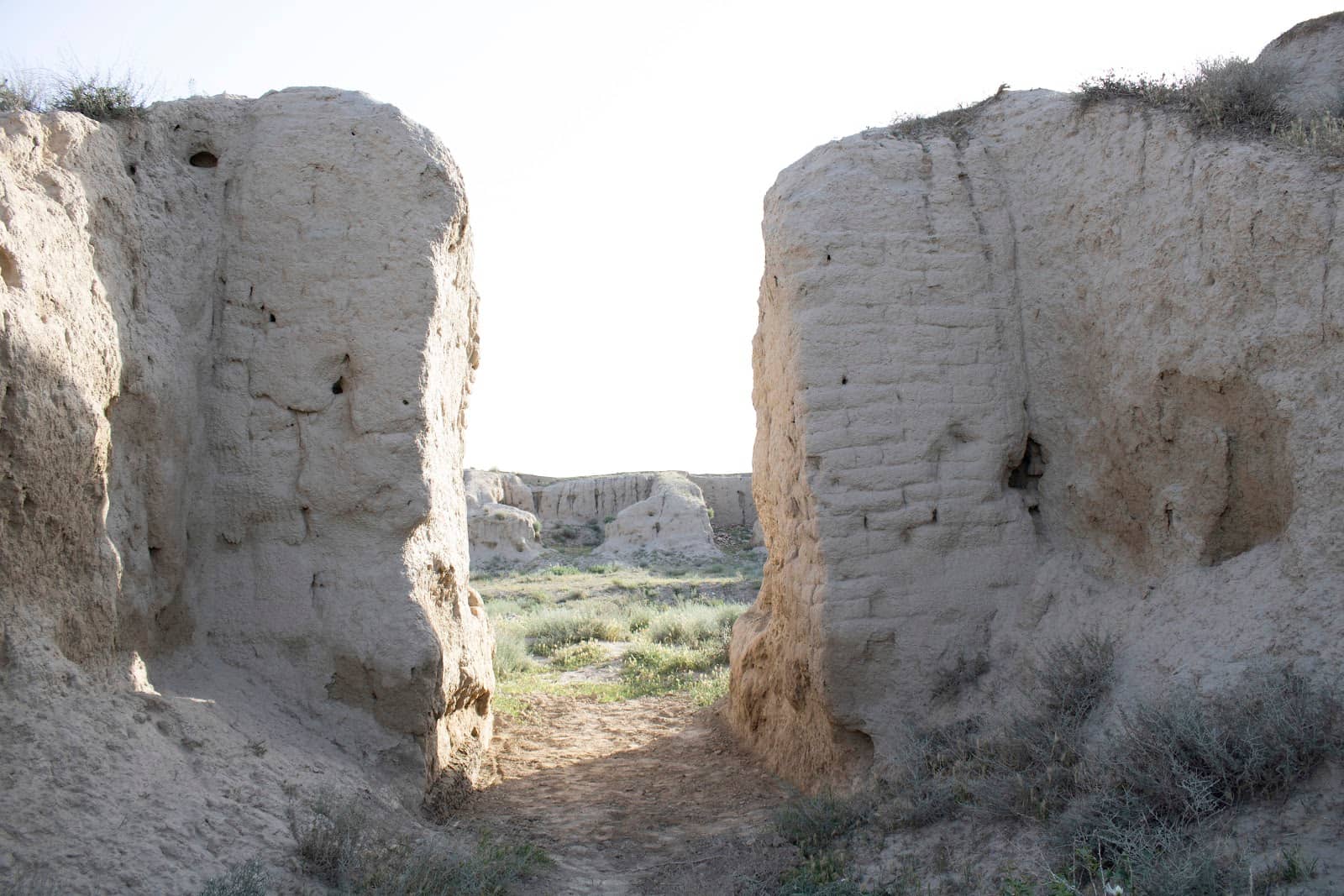 Sogdian Era Cretulae Collection