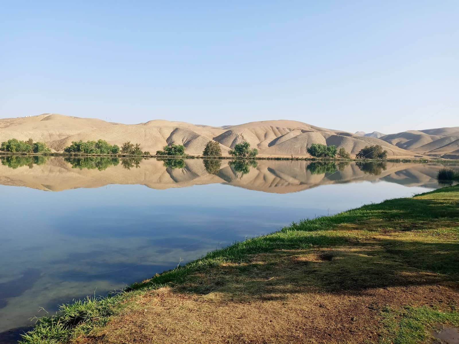 Fishing Opportunities
