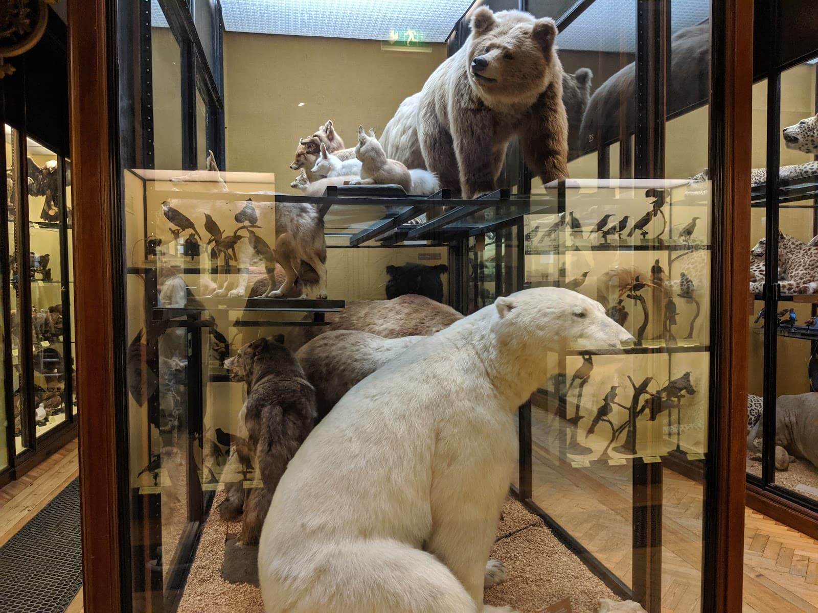 Natural History Museum at Tring - Image 1
