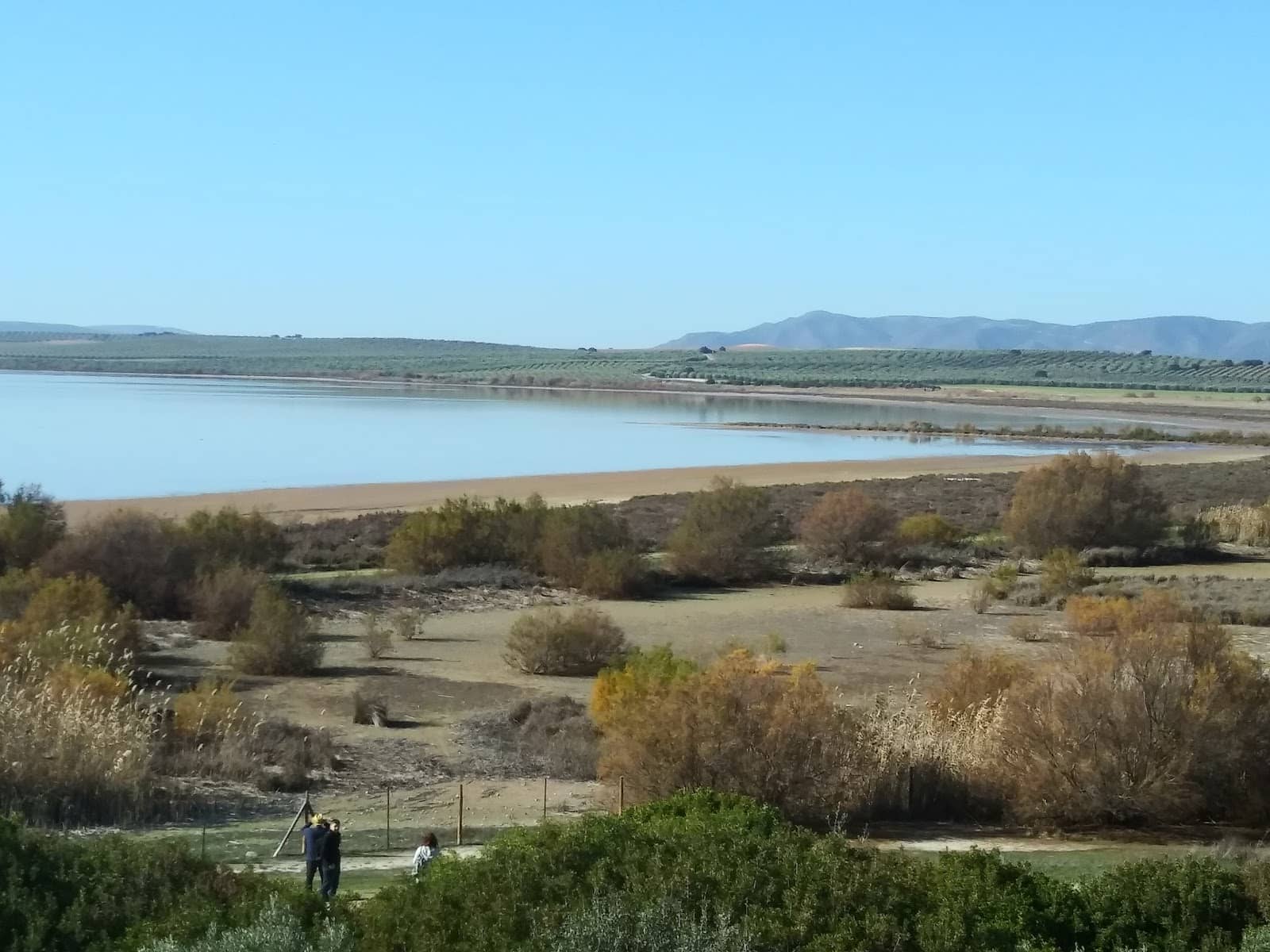 Laberintus Park Adventure