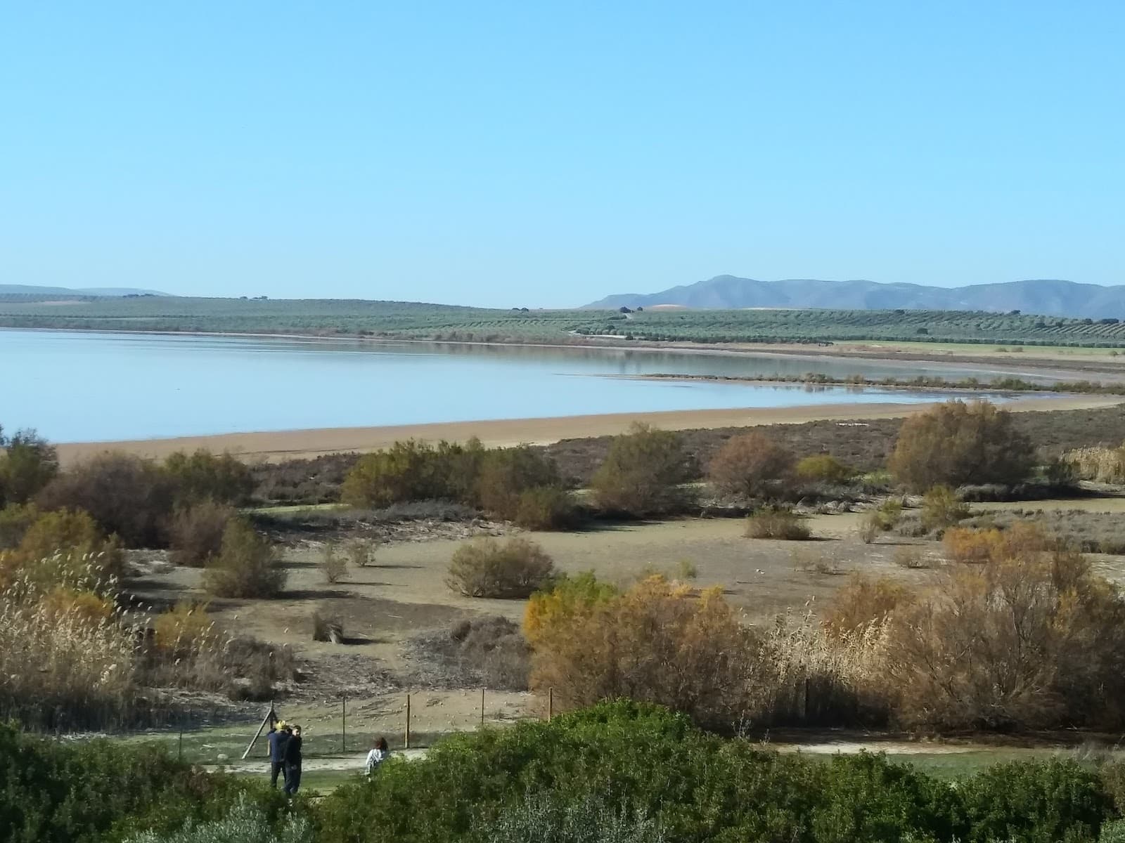Laguna de Fuente de Piedra Málaga - Image 1