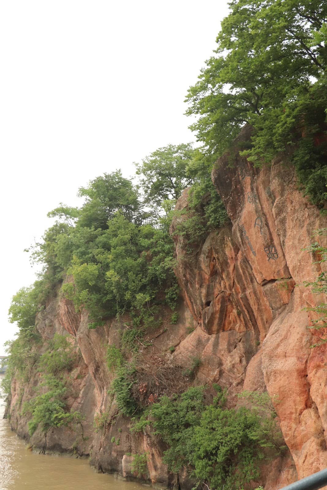 Vertical photo