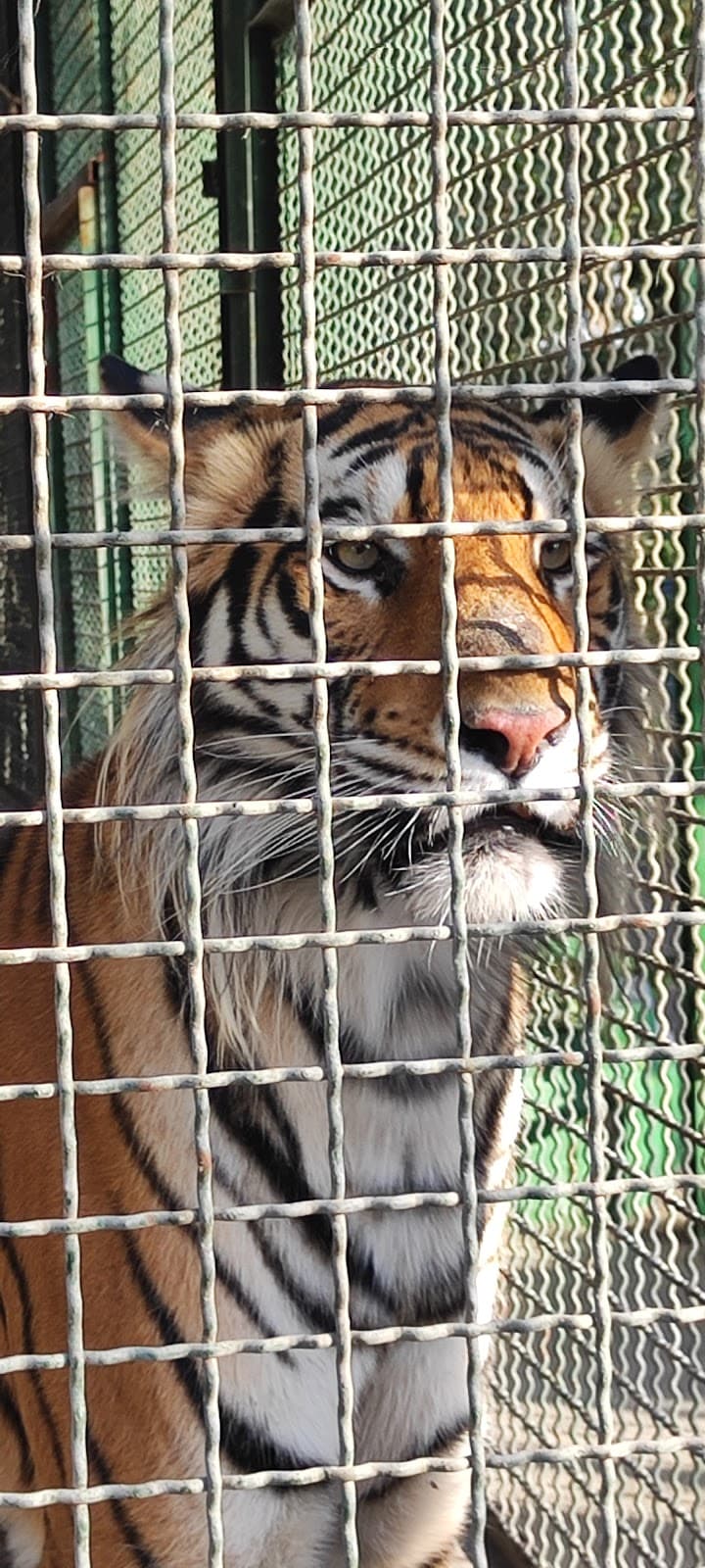 Koohestan Park-e Shadi - Image 1