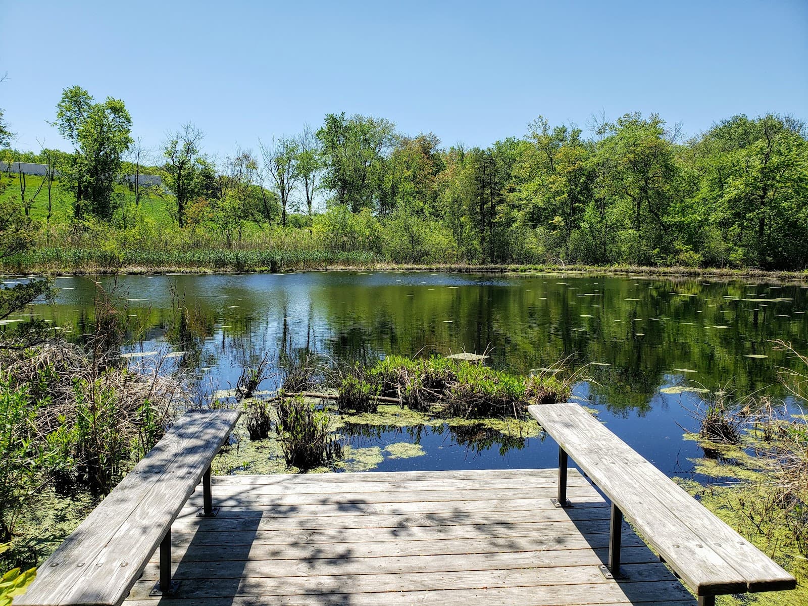 Lost Pond Sanctuary - Image 1