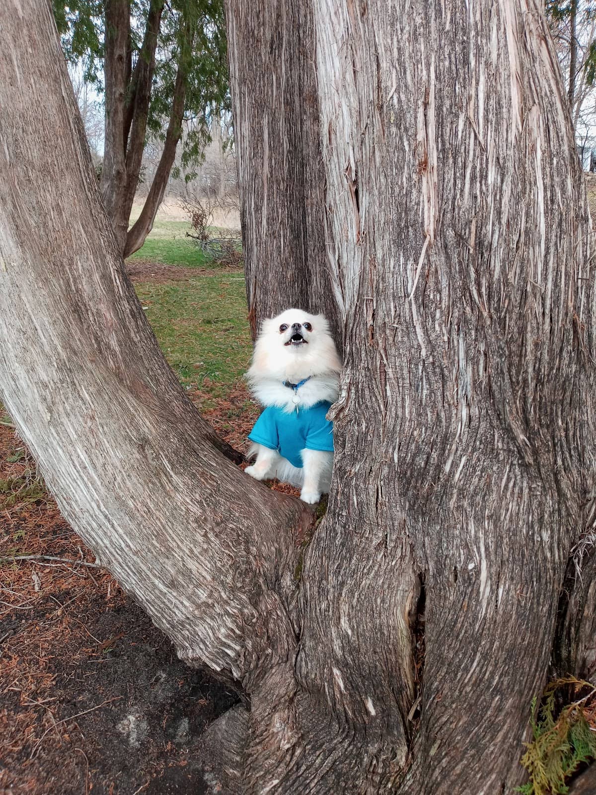 Vertical photo