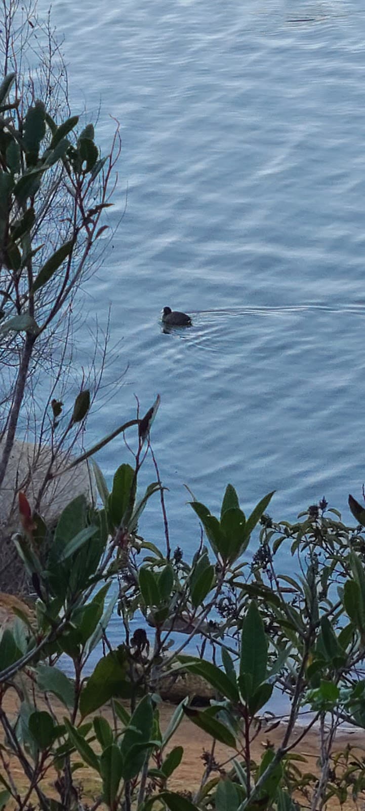 Lake Wohlford - Image 1