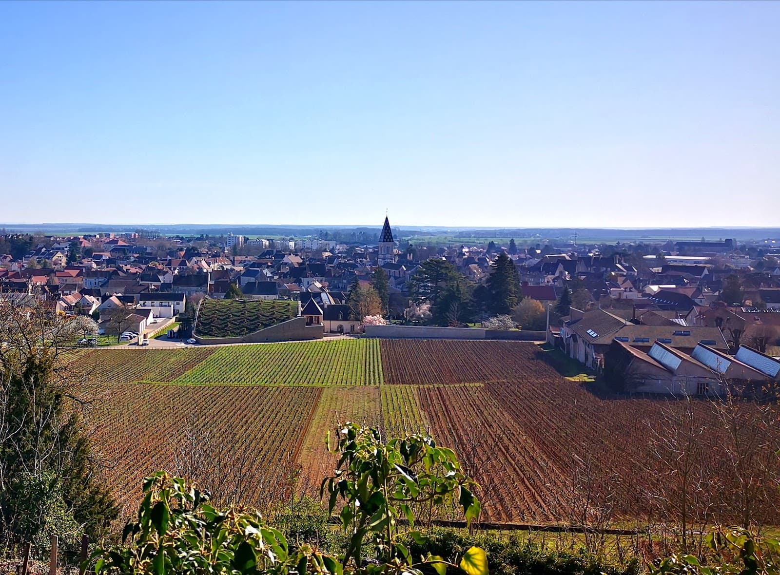 Nuits-Saint-Georges - Image 1