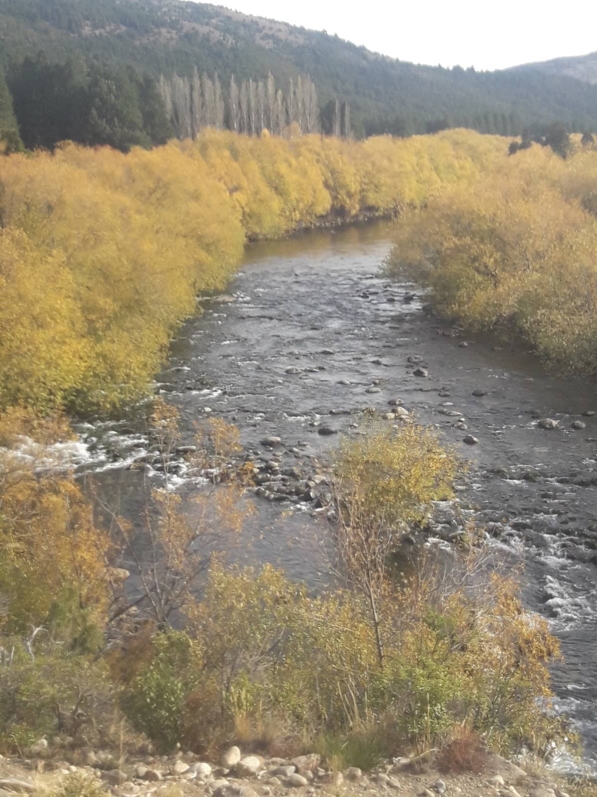 Fly Fishing Paradise