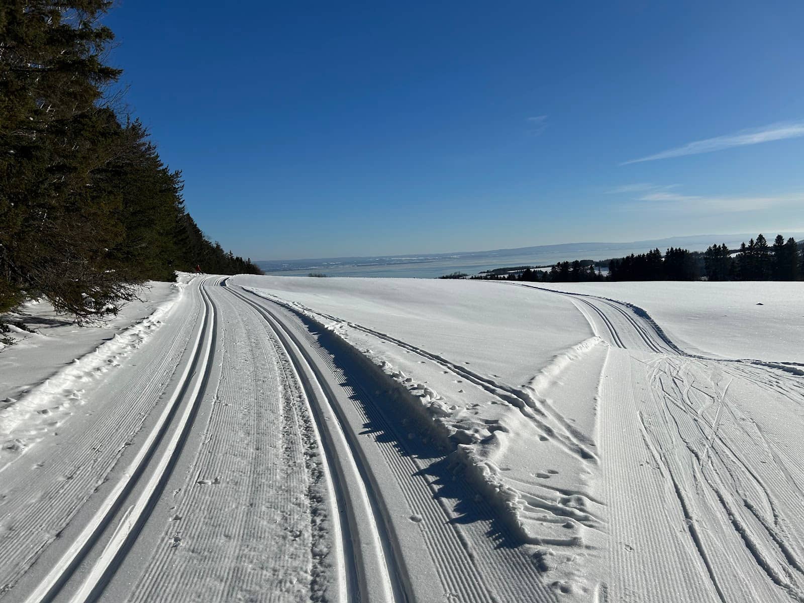 Scenic Cross-Country Skiing