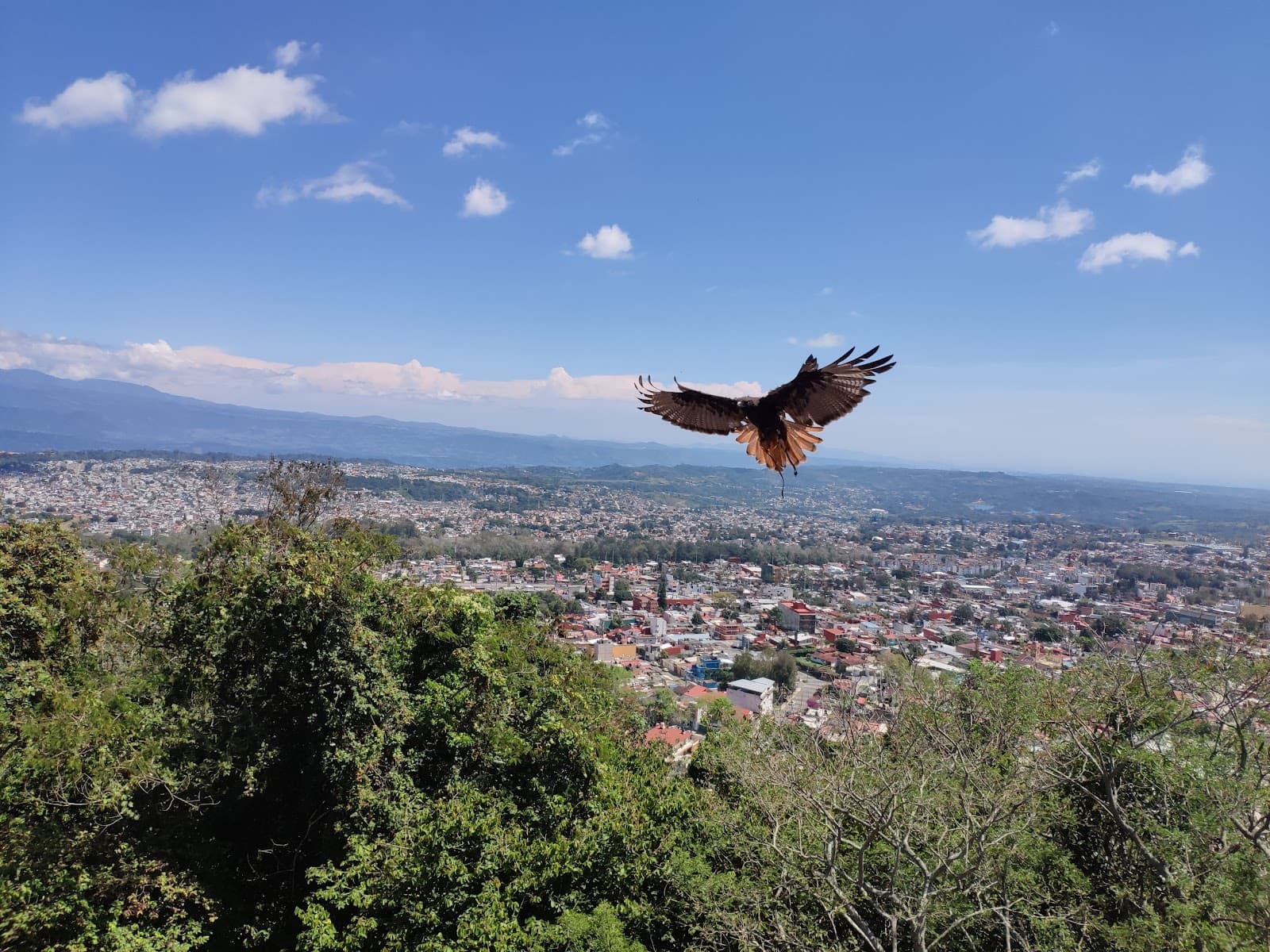 Mirador del Macuiltépetl - Image 1