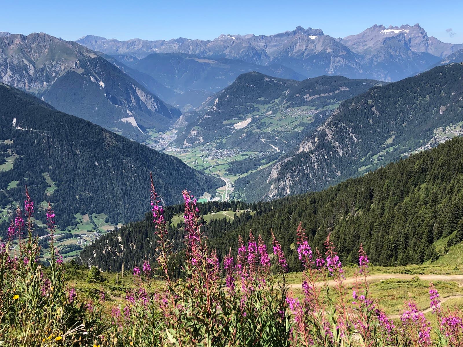 Val de Bagnes Nature Reserve - Image 1