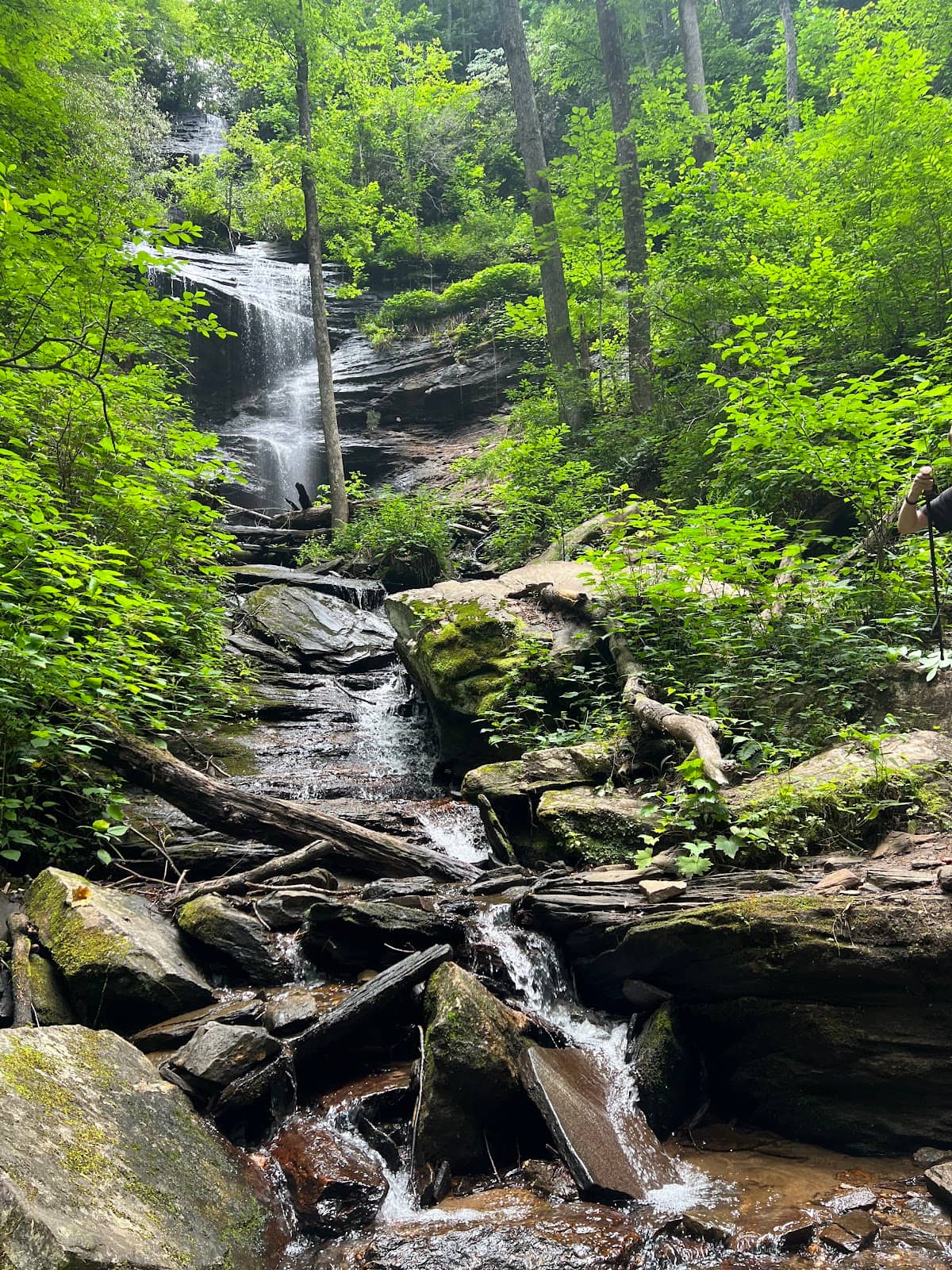 Mountain Biking Trails